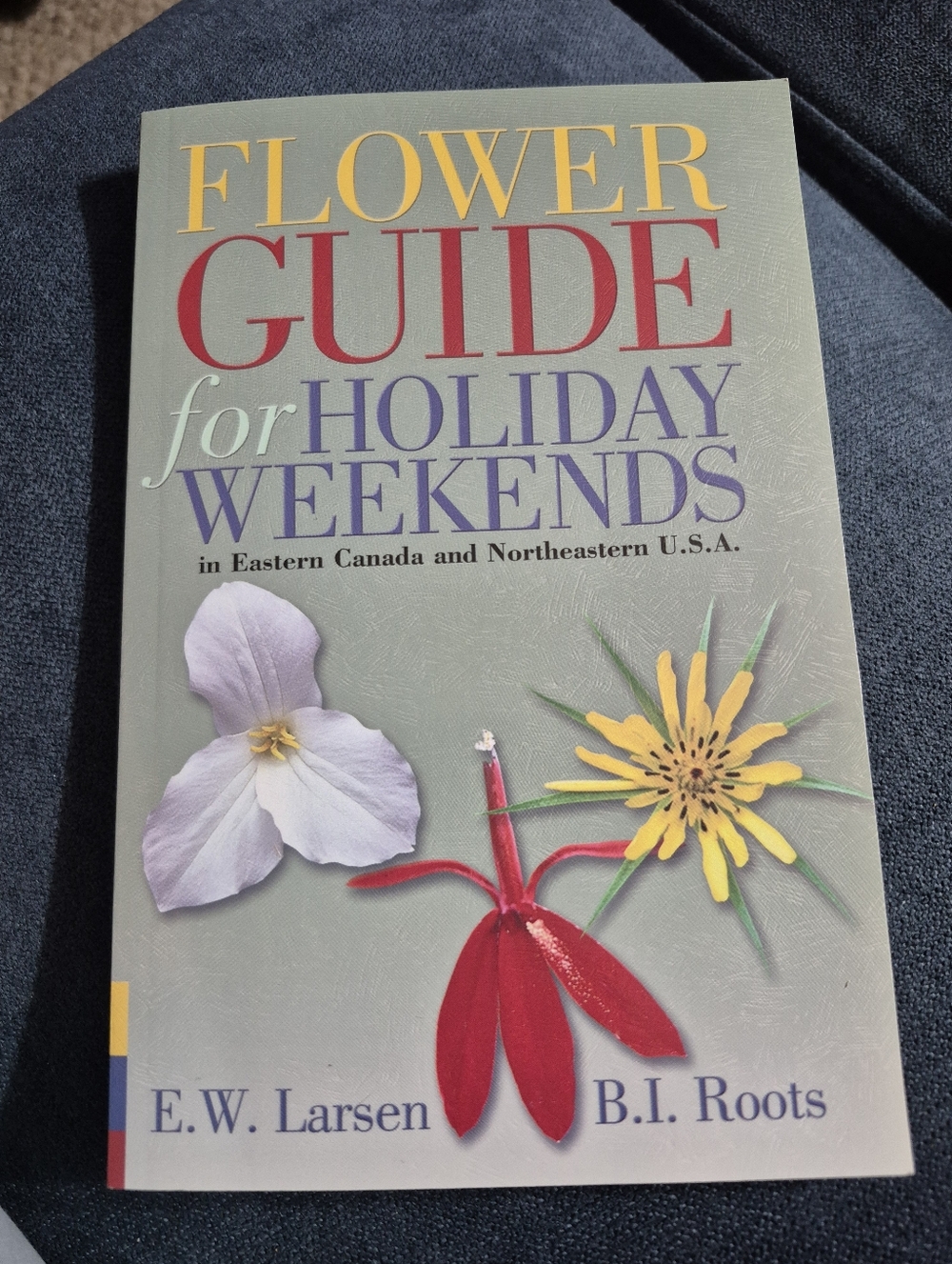 Flower Guidd For Holiday Weekends In Eastern Canada And Northeastern U.S.A